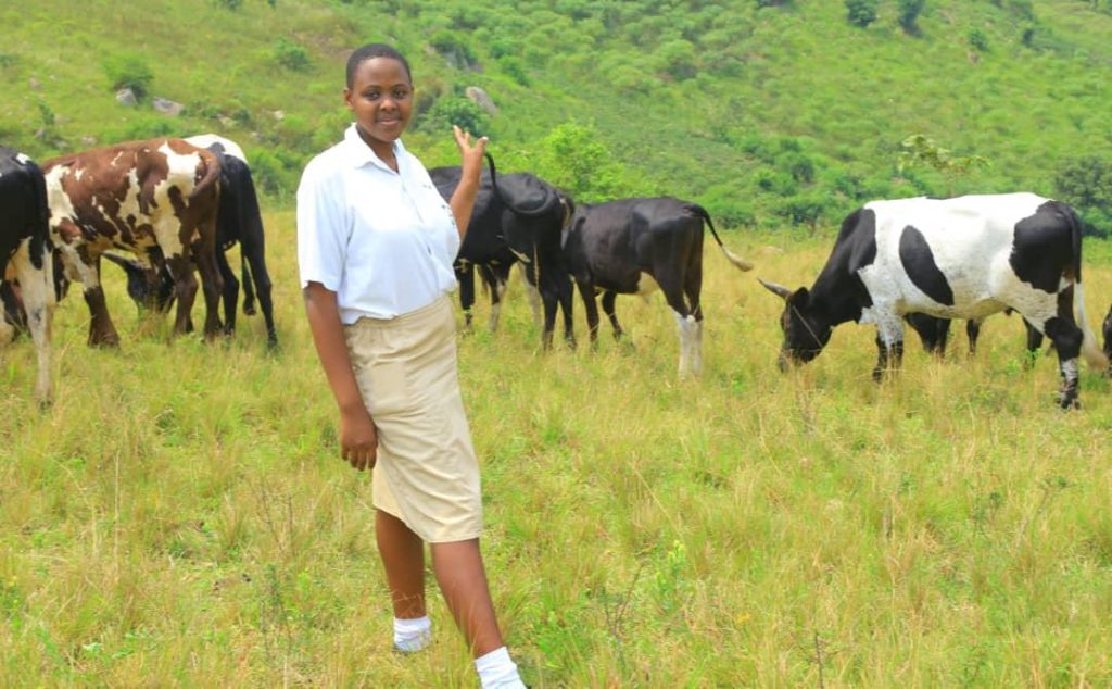 Immaculate Heart Girls’ School Nyakabungo Model Farm: A Beacon of Environmental Stewardship and Student Enrichment